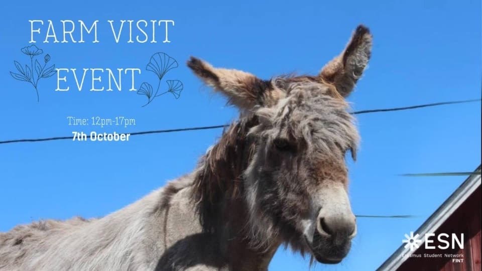 EXPERIENCE A REAL FINNISH FARM WITH ESN FINT! 🇫🇮🐑🐰🌾